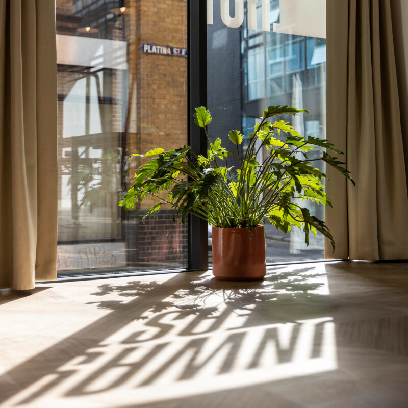 runway-east-shoreditch-logo vinyl shadows