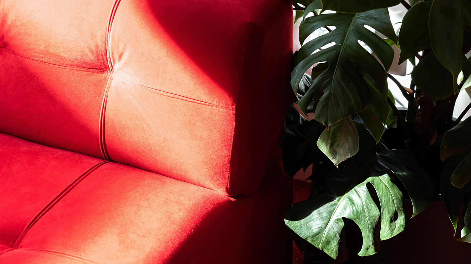 Red modular sofa and monstera plant in sunlight at Runway East Shoreditch breakout space