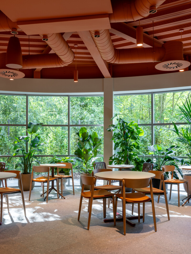 Breakout social space surrounded by exterior planting at TMT Group HQ workspace